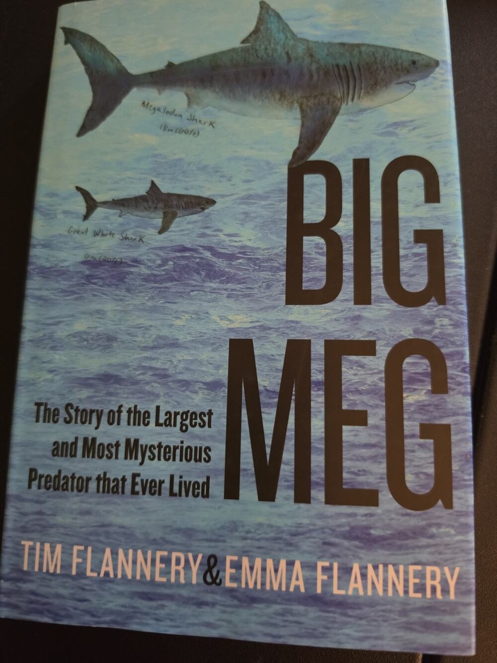 Big Meg : The Story of the Largest and Most Mysterious Predator That Ever Lived
